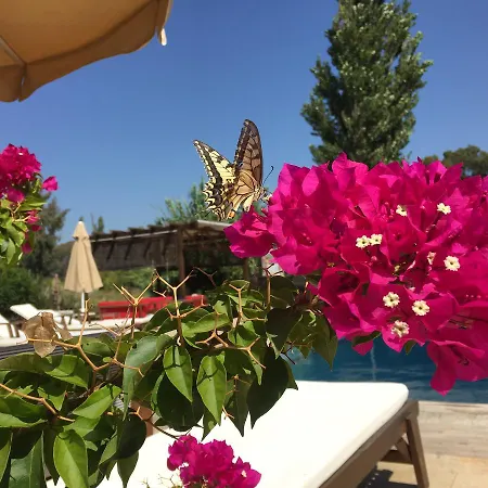Szálloda Ucurtma Akcapinar (Mugla)