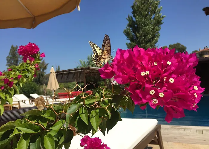 Hotel Ucurtma Akcapinar (Mugla)